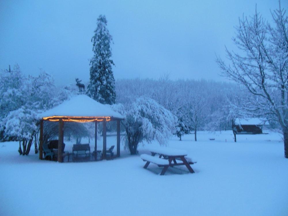 Clark Fork Lodge Dış mekan fotoğraf