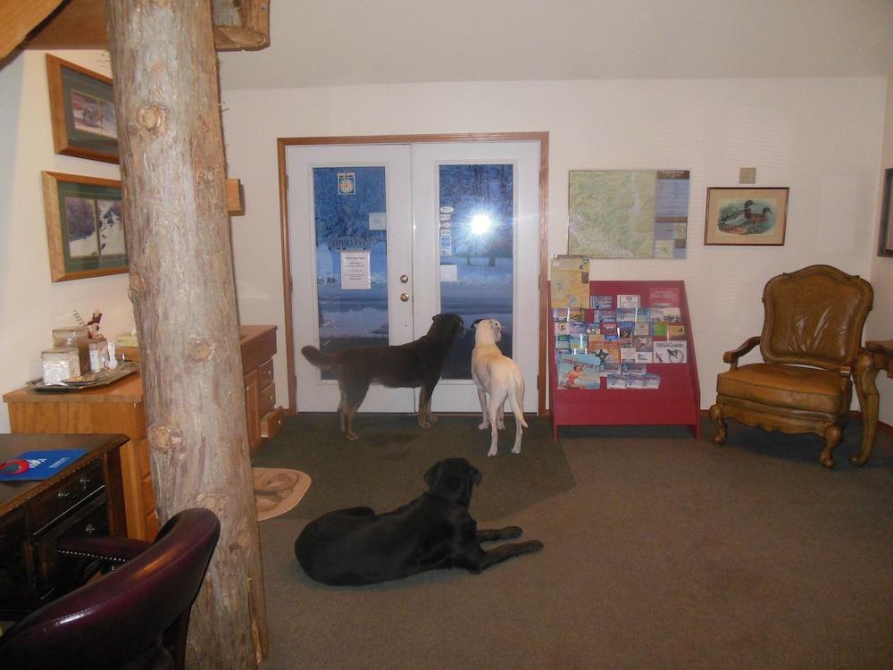 Clark Fork Lodge Dış mekan fotoğraf