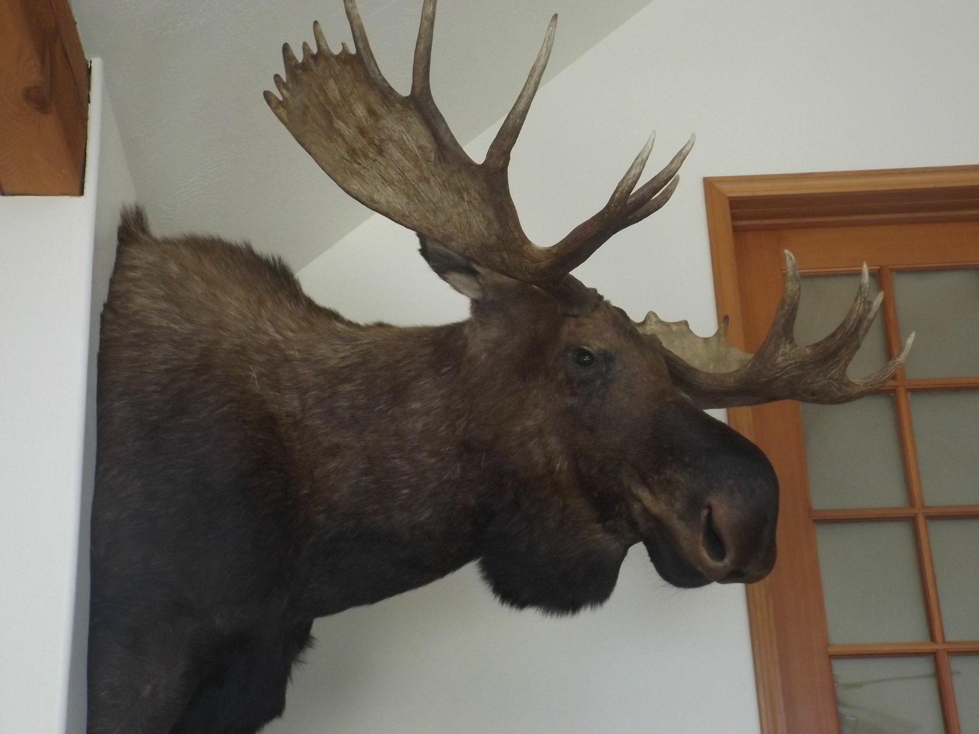 Clark Fork Lodge Dış mekan fotoğraf